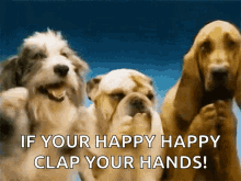 Oh Yeah Clapping GIF - Oh Yeah Clapping Dogs GIFs