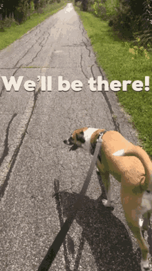 Well Be There Walking GIF - Well Be There Walking Dog GIFs
