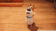 Max Excited GIF - Max Excited Secret Life Of Pets GIFs