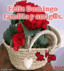 Feliz Domingo Familia Y Amigos GIF - Feliz Domingo Familia Y Amigos GIFs
