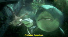 Finding Nemo Probably American GIF - Finding Nemo Probably American American GIFs