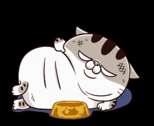 Ami Fat Cat Fgcat GIF - Ami Fat Cat Fgcat Hungry GIFs