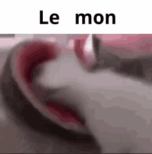 Le Mon Melon GIF - Le Mon Melon GIFs