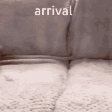 Cat Arrival GIF - Cat Arrival GIFs