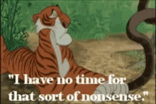 Aint Nobody Got Time Tiger GIF - Aint Nobody Got Time No Time GIFs