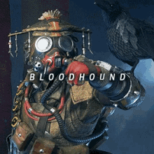 bloodhound apex legends raven