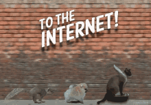 To The GIF - To The Internet GIFs