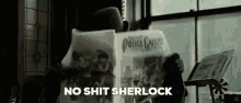 Sherlock Holmes No Shit GIF - Sherlock Holmes Sherlock No Shit GIFs