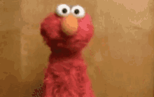 Elmo /  Tanto Faz / Que Seja / Não Ligo GIF - Elmo Shrug Whatever GIFs