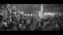 Neil Prydz Crowd GIF - Neil Prydz Crowd Mosh Pit GIFs