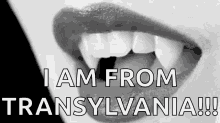 vampire teeth transylvania