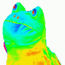 Rainbow Frog GIFs | Tenor