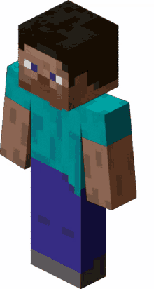 minecraft steve shift sway video game