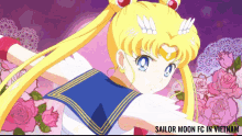 Sailor Senshi Smfcvn GIF - Sailor Senshi Smfcvn Usagi GIFs