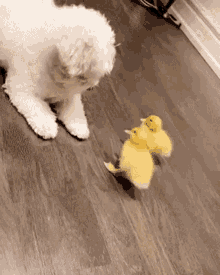 Dog And Baby Duck GIF - Dog And Baby Duck GIFs