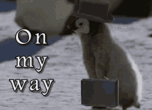 On My Way GIF - On My Way Omw Baby Penguin GIFs