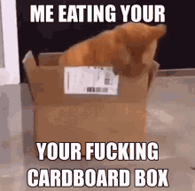 Cat Cardboard Box GIF - Cat Cardboard Box Hungry GIFs