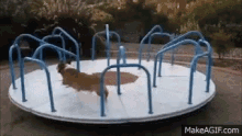 Dog Carousel GIF - Dog Carousel Running GIFs
