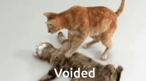 Funny Cat Roblox GIF - Funny Cat Roblox GIFs