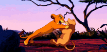 Simba Nala GIF - Simba Nala Lion King GIFs