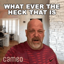 What Ever The Heck That Is Rick Harrison GIF - What Ever The Heck That Is Rick Harrison Cameo GIFs