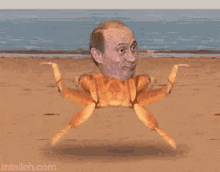 Putin Vladimir Putin GIF - Putin Vladimir Putin Crab GIFs