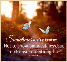 Sometimes Were Tested Not To Show Our Weakness To Discover Our Strengths GIF - Sometimes Were Tested Not To Show Our Weakness To Discover Our Strengths Life Quote GIFs