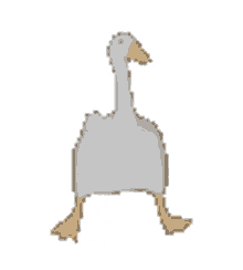 pato