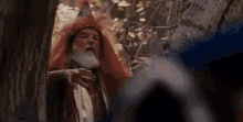 Role Models GIF - Role Models Wizard GIFs