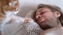 cat wake up hooman pawing alarm clock