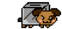 nyan dog doggy toaster nyan dog doggy toaster