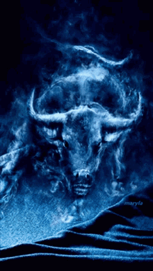 taurus the bull images