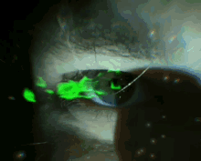 Green Eyes Green With Envy GIF - Green Eyes Green With Envy GIFs