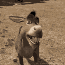 Donkey Smile GIF - Donkey Smile Shrek GIFs