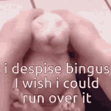 i despise bingus i hate bingus i wish death upon bingus fucking cat bingus die