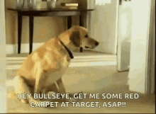 Target Dog GIF - Target Dog Bullseye GIFs