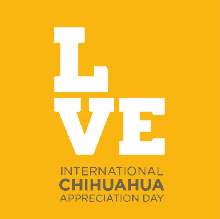 International Chihuahua Appreciation Day Dog Day GIF - International Chihuahua Appreciation Day Dog Day Appreciation Day GIFs