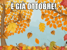 october already fall leaves autumn october already fall leaves autumn