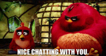 The Angry Birds Red GIF - The Angry Birds Red Nice Chatting With You GIFs