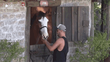 cavalo cuidando do cavalo cauboi horse caring for the horse