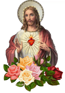 sagrado corazon jesus rose roses