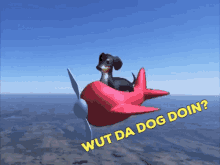 Wut Da Dog Doin GIF - Wut Da Dog Doin GIFs