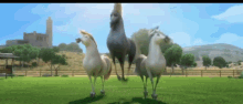 Horse Dance GIF - Horse Dance GIFs