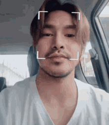viceion ion perez