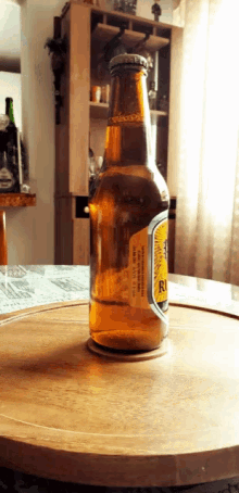 Artesanal De Bebidas Beer GIF - Artesanal De Bebidas Beer Cerveza Artesanal GIFs