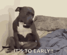 Too Early GIF - Too Early Early GIFs
