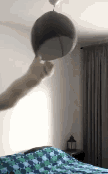 Spinning Cat Ceiling Light GIF - Spinning Cat Cat Ceiling Light GIFs