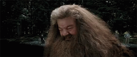 hagrid-salty.gif