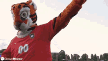 Clemson Tigers GIF - Clemson Tigers Mascot GIFs