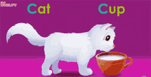 c for cat cat cup kids alphabets